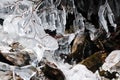 Mountain stream flows trought stones, snow and ice