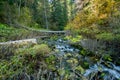 Mountain stream flows through the Utah mountains in Autumn Royalty Free Stock Photo