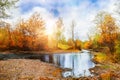 Mountain stream, forest autumn landscape at sunset