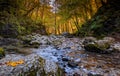 Mountain stream in forest in fall colors with rocks and fallen leaves in the foreground Royalty Free Stock Photo