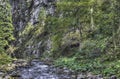 Mountain stream in the forest. HDR color photo Royalty Free Stock Photo