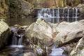 Mountain stream in the forest Royalty Free Stock Photo
