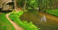 Mountain stream in fresh green leaves forest after rainy day. Royalty Free Stock Photo