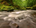 Mountain stream