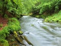 Mountain stream