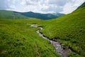 Mountain stream on the green meadow
