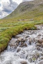 Mountain stream in high country landscape Royalty Free Stock Photo