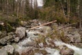 Mountain stream in High Tatras, Slovakia