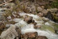 Mountain stream in High Tatras, Slovakia