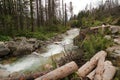 Mountain stream in High Tatras, Slovakia