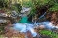 Mountain stream in the Lepena valley Royalty Free Stock Photo