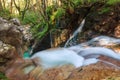Mountain stream in the Lepena valley Royalty Free Stock Photo