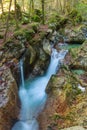 Mountain stream in the Lepena valley Royalty Free Stock Photo
