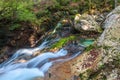 Mountain stream in the Lepena valley Royalty Free Stock Photo
