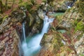 Mountain stream in the Lepena valley Royalty Free Stock Photo