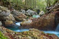 Mountain stream in the Lepena valley Royalty Free Stock Photo