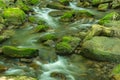 Mountain Stream in the Jefferson National Forest Royalty Free Stock Photo