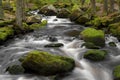 Mountain stream in the national park Sumava-Czech Republic Royalty Free Stock Photo