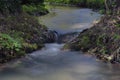 A mountain stream near Lake Bled Royalty Free Stock Photo