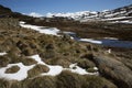 Mountain Stream, Perisher Valley, New South Wales Royalty Free Stock Photo