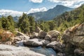 Mountain stream and pine trees at Paglia Orba in Corsica Royalty Free Stock Photo