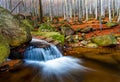 Mountain stream Royalty Free Stock Photo