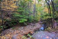 Mountain Stream Ricketts Glen Pennsylvania Royalty Free Stock Photo