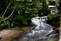 Mountain stream, River deep in mountain forest, Mountain creek cascade with fresh green moss on the stones Royalty Free Stock Photo