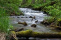 Mountain stream, River deep in mountain forest, Mountain creek cascade with fresh green moss on the stones Royalty Free Stock Photo