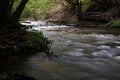 Mountain stream, River deep in mountain forest, Mountain creek cascade with fresh green moss on the stones Royalty Free Stock Photo