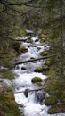 Mountain stream, river stream, aquatic nature