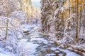 Mountain Stream, River In Winter Time, Snow, Trees And Water In A Sunshine, Polish - Czech Frontier.