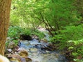 Mountain stream