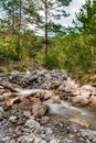 Mountain stream among rocks in coniferous pine forest, blurry water movement, vertical frame Royalty Free Stock Photo