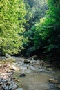 mountain stream among the rocks in the forest in nature journey hiking Royalty Free Stock Photo