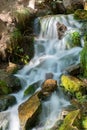 a mountain stream with rocks and moss growing in the area Royalty Free Stock Photo