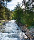 Rocky Mountain Stream flowing