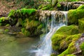 The mountain stream rolls over the rocks of moss