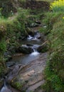 Mountain stream