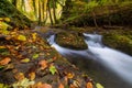 Mountain stream with small and waterfalls in autumn, Croatia Royalty Free Stock Photo