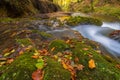 Mountain stream with small and waterfalls in autumn, Croatia Royalty Free Stock Photo