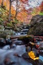 Mountain stream and small waterfalls during autumn. Royalty Free Stock Photo