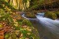 Mountain stream with small and waterfalls in autumn, Croatia Royalty Free Stock Photo