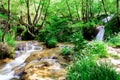 Mountain stream with small waterfalls Royalty Free Stock Photo