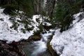 Mountain stream with snowbanks, trees