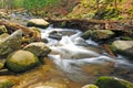 Mountain stream in the spring Royalty Free Stock Photo