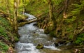 Mountain stream in spring on Borzhava range in Carpathian mountains