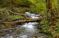 Mountain stream in spring on Borzhava range in Carpathian mountains