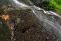 Mountain stream in the spring Royalty Free Stock Photo