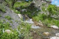 Mountain stream and stouns.